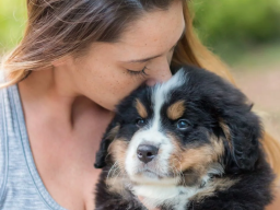 Puppies